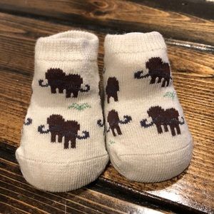 Country Kids Animal Organic Cotton Socks 0-3M